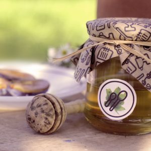 Zsennye Design Workshop 2014